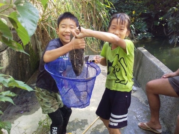 フリースクール放課後見守りスタッフ・の放課後見守りスタッフ・小学低学年の子どもたちと関わる仕事の経験者（小学校教諭免許）