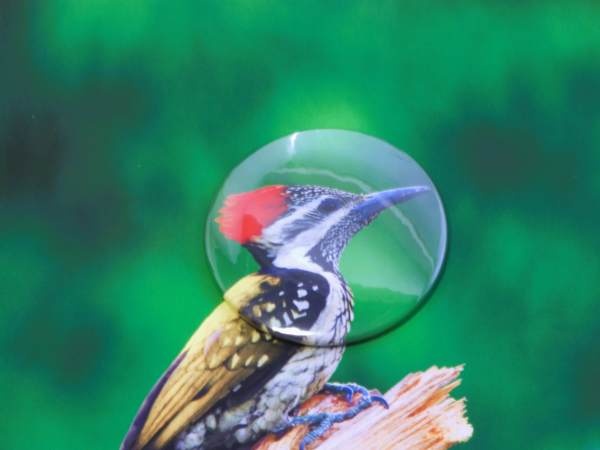 缶バッジ工房の製作スタッフ・ゲームキャラなどの缶バッジ工房専属製作スタッフ（未経験OK）