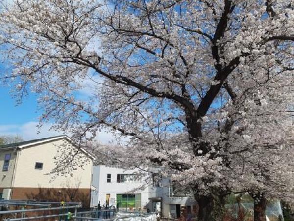 生活支援員・生活介護事業の生活支援員（普通運転免許・AT限定可）