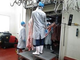 事業所の情報＿００３