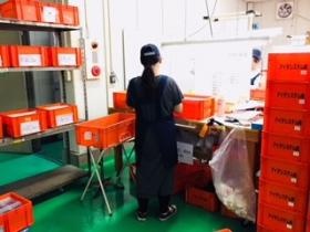 自動車部品検査作業