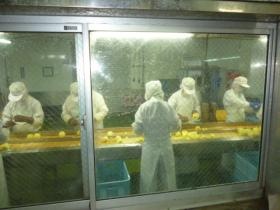 事業所の情報＿００２