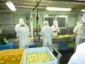 事業所の情報＿００３