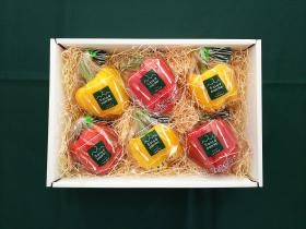 北海道サラダパプリカ