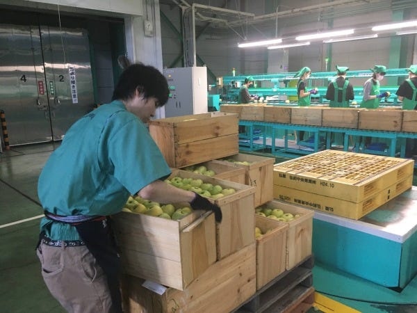 あなたと一緒に働くメンバーです！困ったことがあればいつでも相談ください！