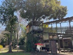 ツリーハウスカフェ ニコリコ （飲食部）