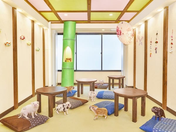 京都店は「かぐや姫」がテーマで、まるで絵本の世界にいるような内装です。