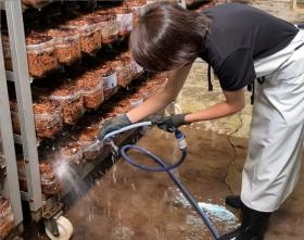 給水・散水作業