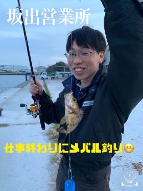 海に面しており、釣りができます。