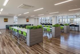 社員食堂 ビュッフェ形式のランチです