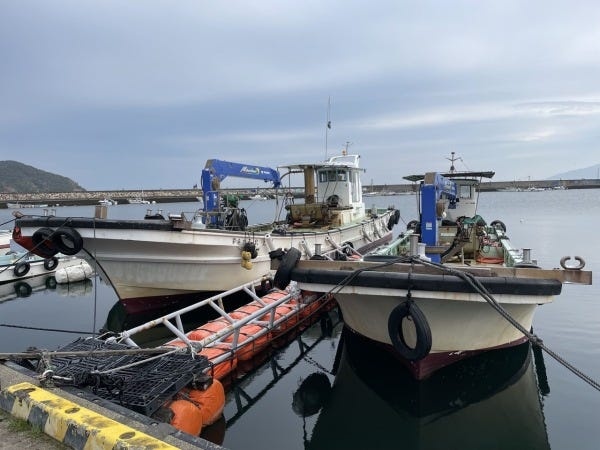 餌やりは魚の生育を左右する重要な仕事。タイミングや量を調整しながら丁寧に行う必要があります。