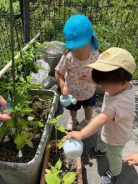 あおぞら保育園