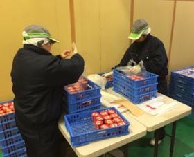 冷蔵庫内での流通加工作業