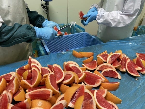 食品加工作業員・野菜やフルーツのカット