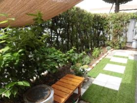 中庭 メダカを飼っており、エサやりを楽しみにされてます。