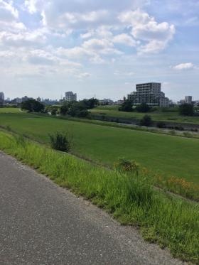 【会社から見える景色】