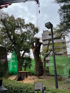 資格取得も積極的にサポート