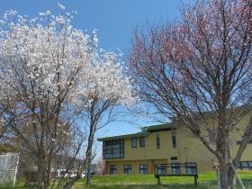 豊野温泉りんごの湯