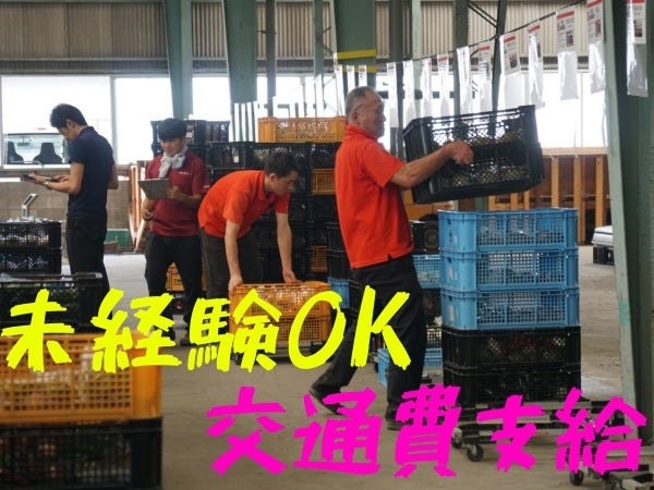 野菜と果物の集出荷スタッフ・野菜の集荷（マイカー通勤OK・こんな方歓迎）