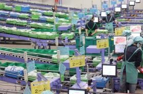 生協の宅配やお店に向けの仕分け・ピッキング業務を行っています