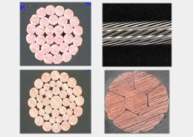 独自の撚り線加工技術に注力し、約４０の特許を保有しています