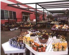 事業所の情報＿００５