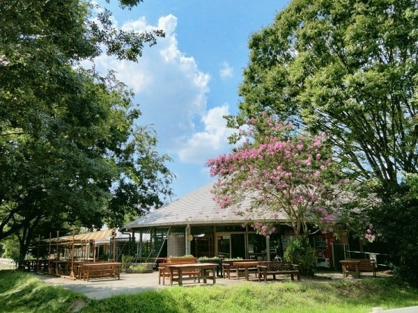 緑豊かなクラブです