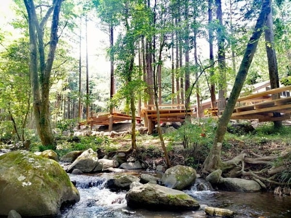 小田原市いこいの森の中にあるキャンプ場「RECAMPおだわら」です。森の中を清流がせせらぐ自然溢れるキャンプ場です。