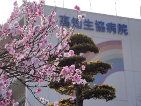 高知生協病院