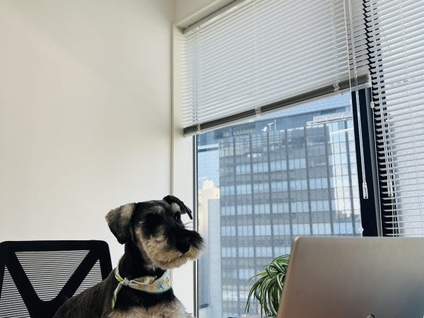 一般事務（宅地建物取引士歓迎）