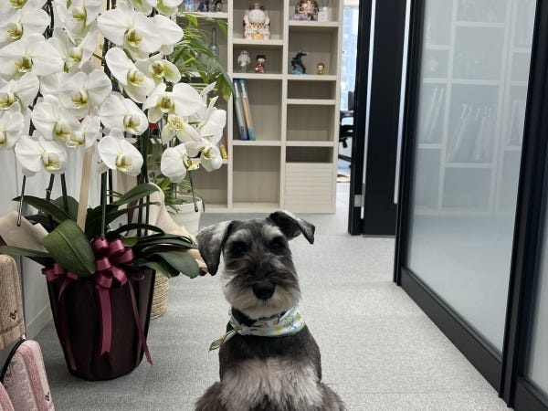 一般事務（宅地建物取引士歓迎）