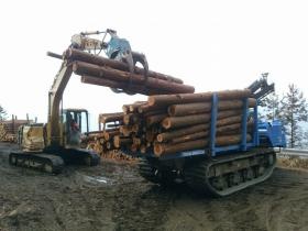 立木のフォワーダへの積込作業