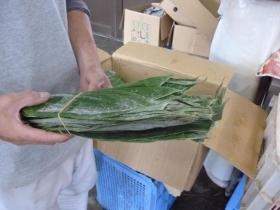 事業所の情報＿００７