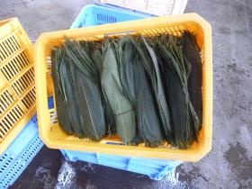 事業所の情報＿００２