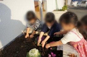 お花や野菜もそだてるよ