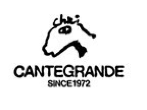 イタリアンバルのホールスタッフ（未経験OK・シフト相談可）