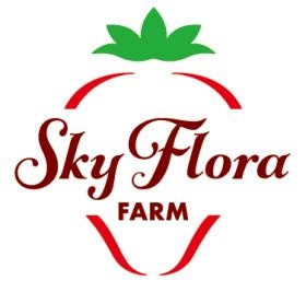 会社のロゴになります。