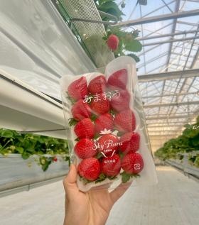 パックに詰めたいちごです。