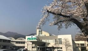 榛名荘病院は自然豊か環境にあります。