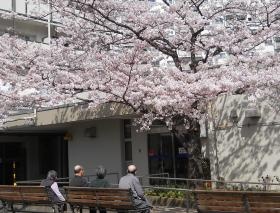 南砂高齢者在宅サービスセンター 園庭