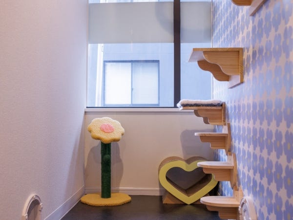 猫カフェのペット・猫専門ホテルスタッフ・サロン補助（猫に携わる仕事経験のある方歓迎・販売接客経験のある方歓迎）