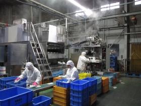 こんにゃく包装作業