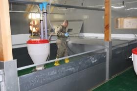 豚舎内の洗浄・消毒作業の様子