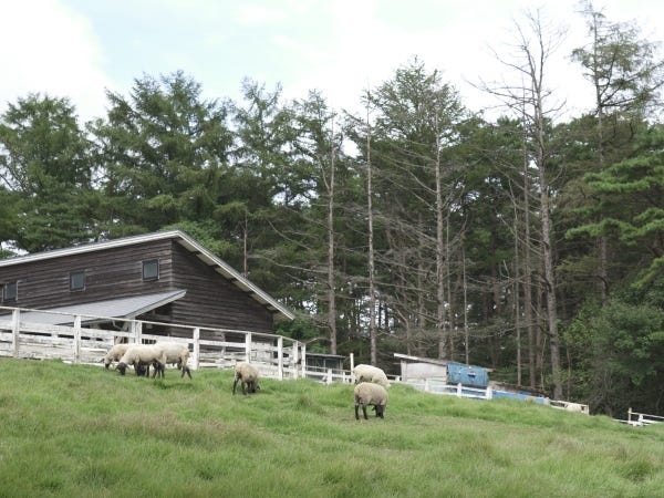 動物ふれあい館