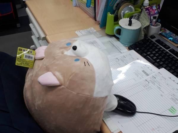 事務スタッフは男性・女性どちらも在籍しています◎