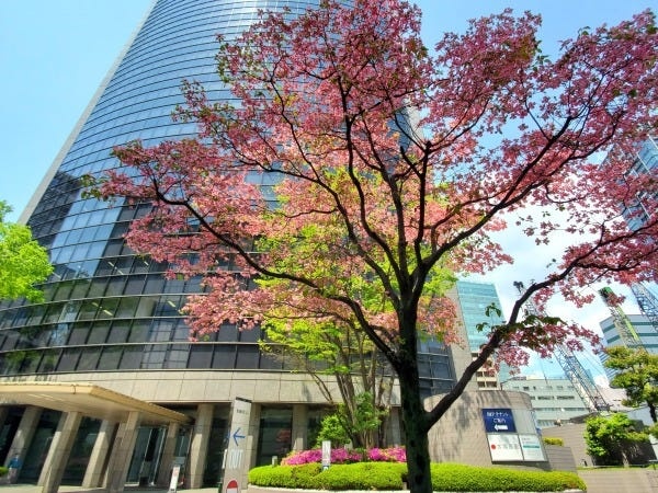 投資用不動産営業・投資型マンションのコンサルティング営業（未経験大歓迎）