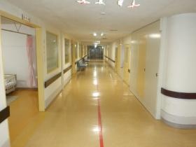 事業所内（廊下、居室等）