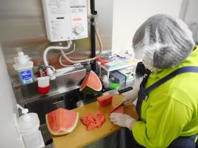 カットフルーツ作業