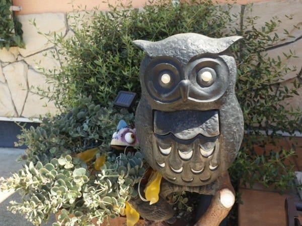 幸せを運ぶフクロウ