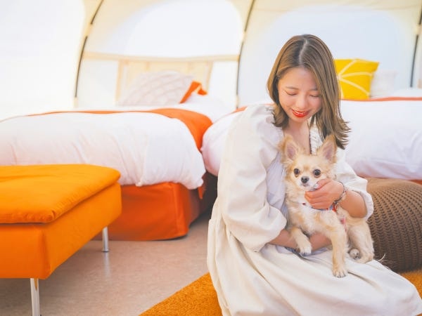 グランピング施設のサービススタッフ